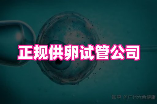 nub孕网 2